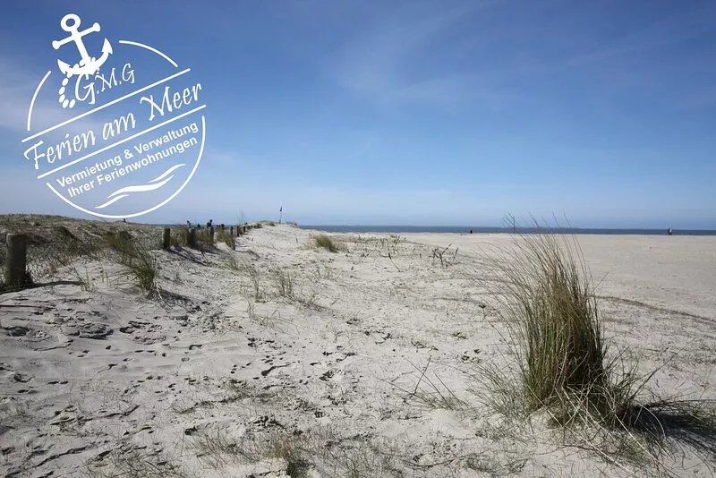 - Vacation apartment Muschelweg 9a/2 -