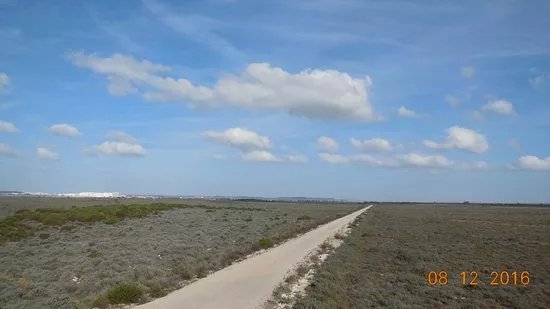 El Parque Metropolitano Marisma De Los Torunos y Pinar De La Algaida