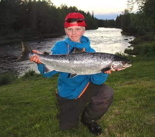Salmon Fishing Naamisuvanto -  Petri Uusitalo