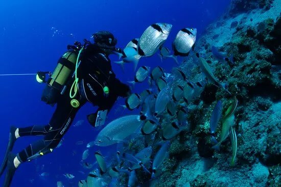 Pelagos Dive Centre