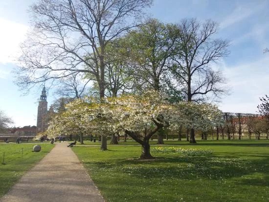Kongens Have
