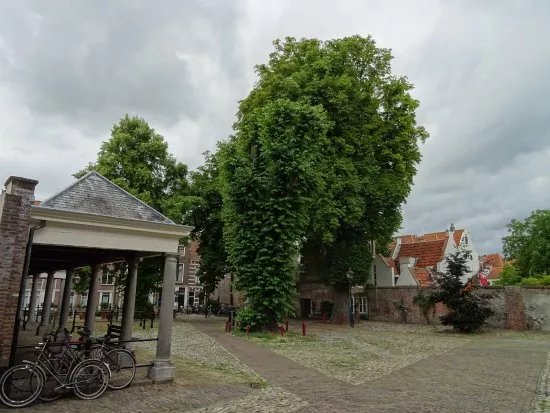 Rijksmonument Voormalige Vismarkt Middelburg