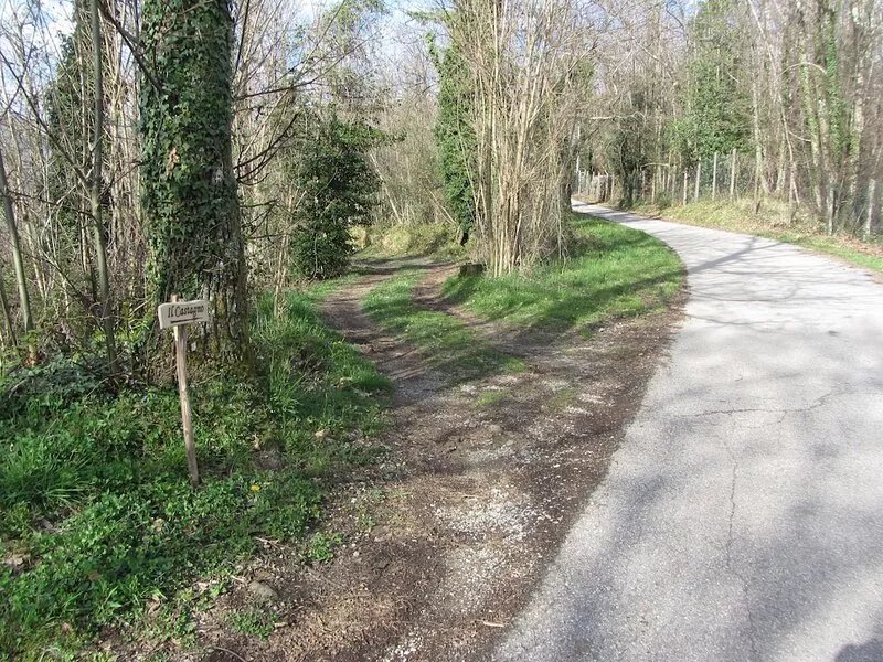Cottage set in it's own woods near Lucca