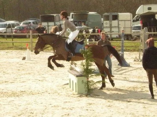 Centre equestre les Ecuries du Marais