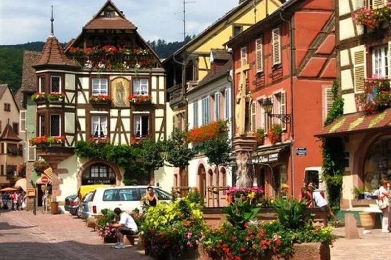 Farm in the Vosges countryside, heated pool, on a 5000 sq.m property with trees