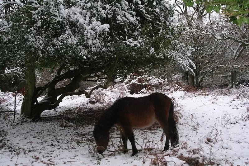 Wich Hazel a rural retreat for two