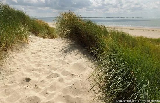 Voornes Duin