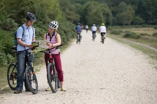Cyclexperience (new Forest)