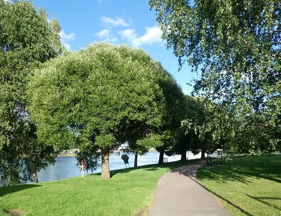 Solapromenaden