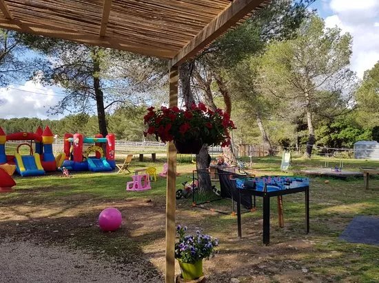 Les Poneys de Provence