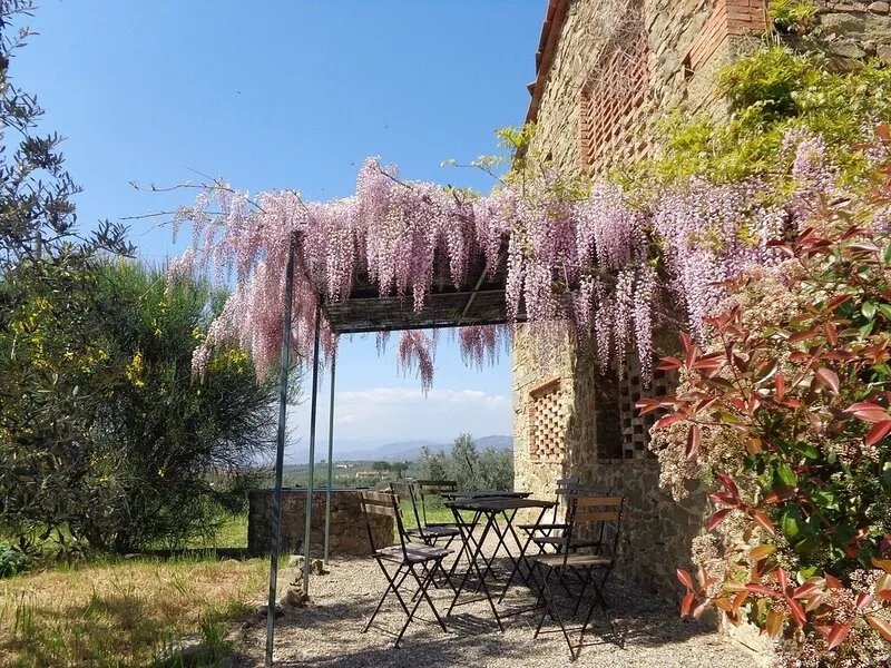 La casa di Marcello - panoramic country house in Vinci - Tuscan countryside
