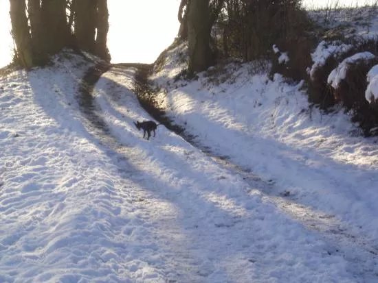 See Derbyshire Tours