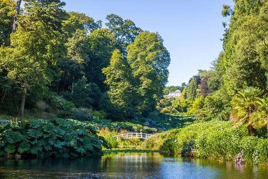 Trebah Garden