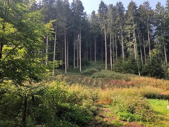 Waginger See