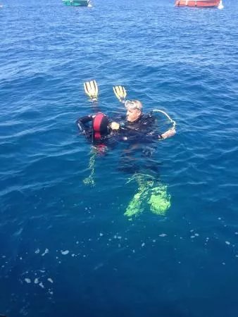 Dive Is Fun