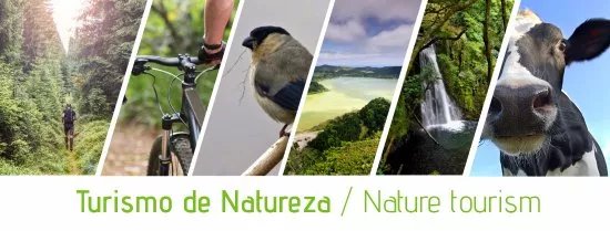 Green Mooo Tours
