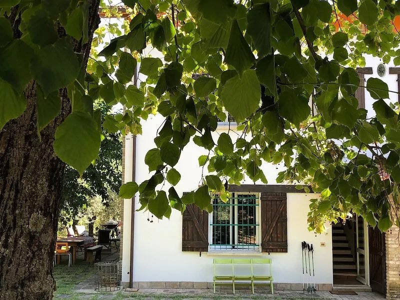 Roncosambaccio:  Villa  surrounded by  olive trees very close to the beach )