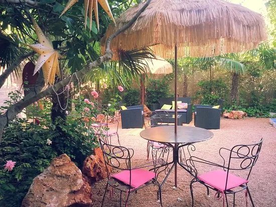 Enfasix & Murakuch loung garden