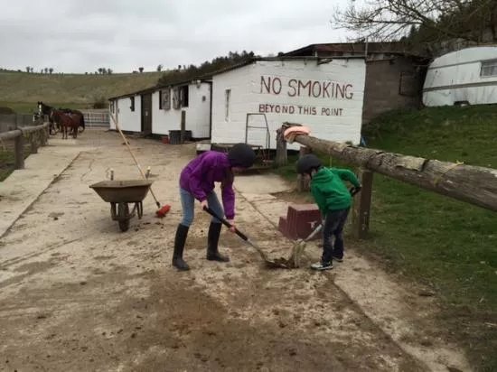 White Horse Trekking and Carriage Driving Centre