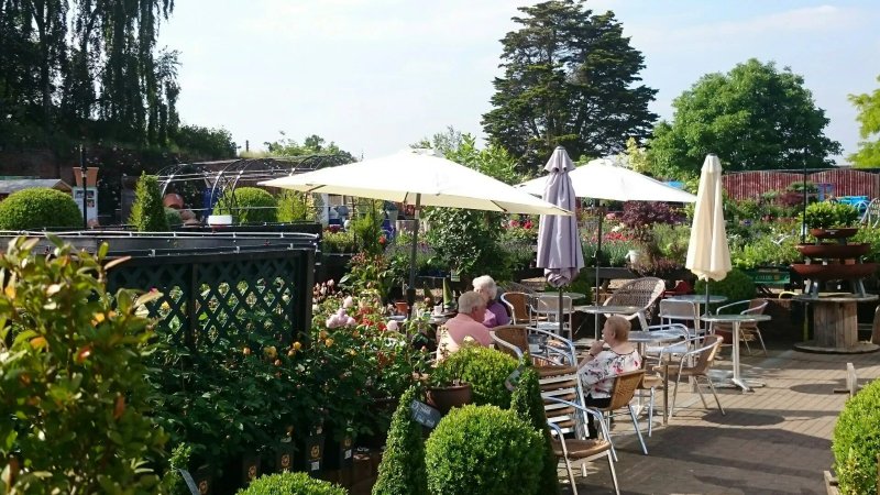 Clandon Park Garden Centre Coffee Shop