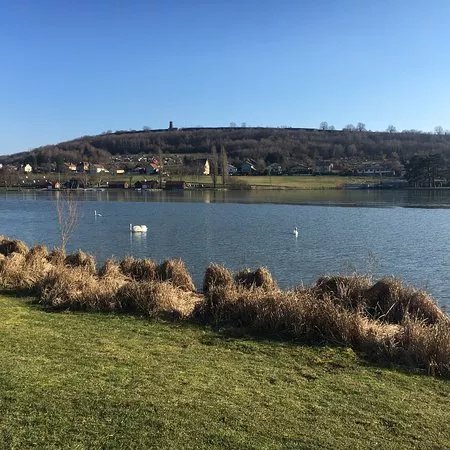 Etang des Forges