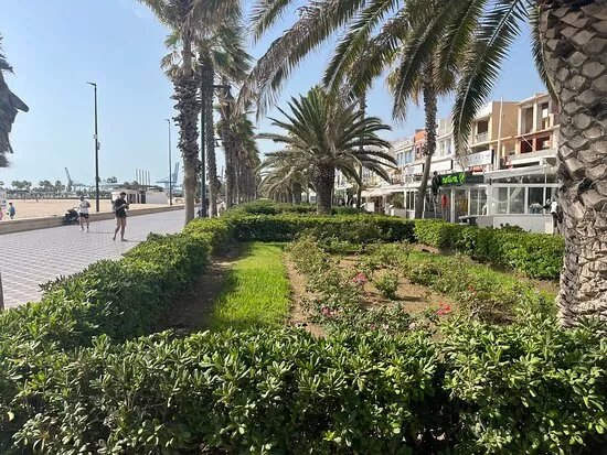 Jardins De Neptu