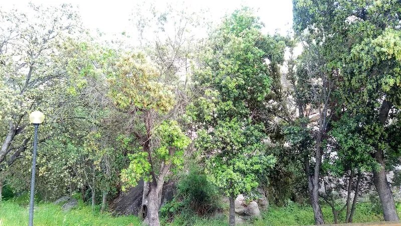 New one bedroom apartment in the heart of Baja Sardinia