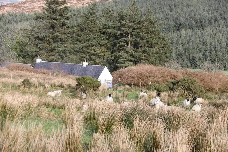 The Hidden Cottage, Ardara, Donegal.