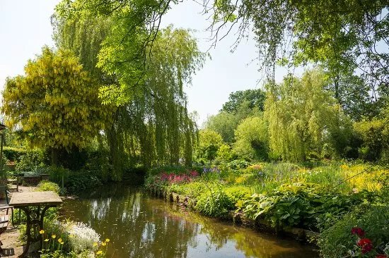 Westonbury Mill Water Gardens