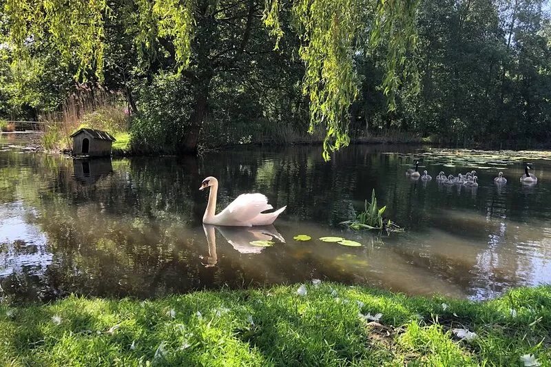Peaceful lakeside cottage close to the Broads and beaches