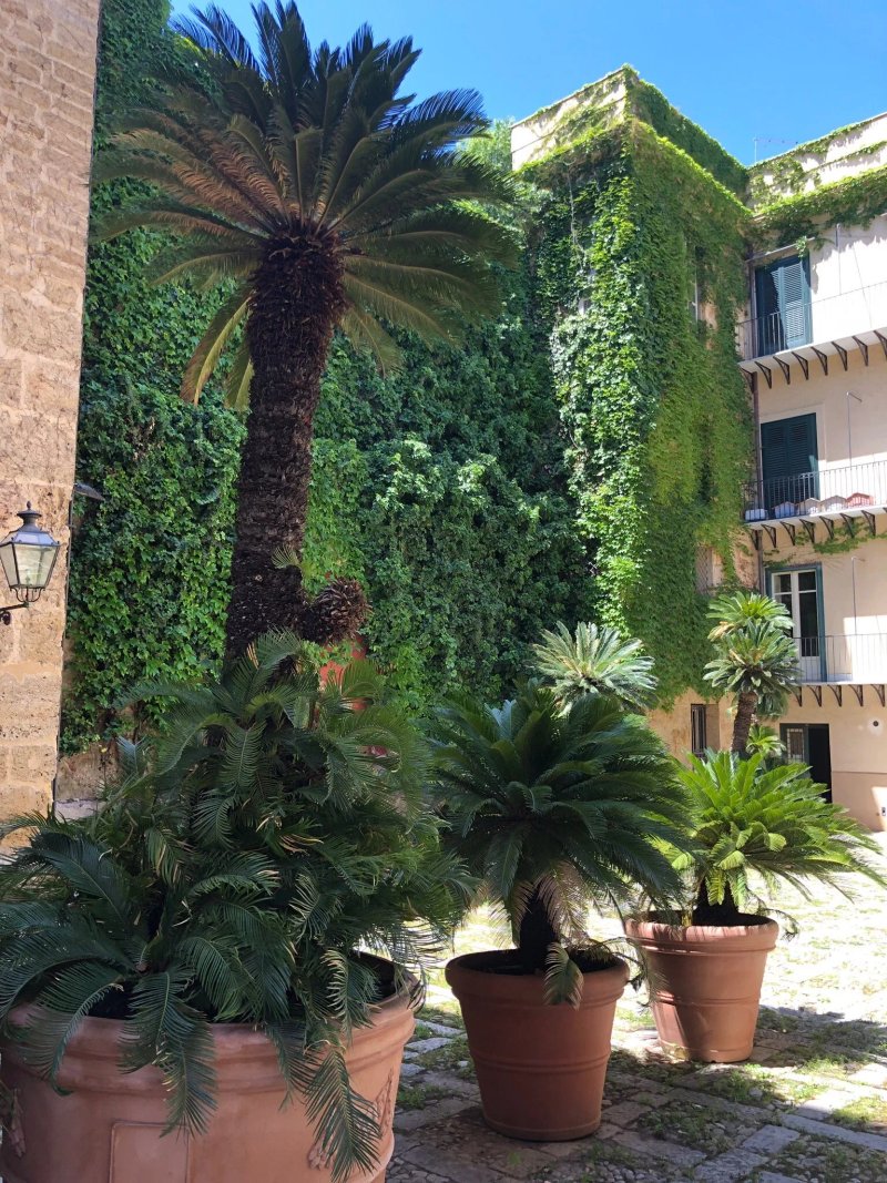Palazzo Artale Holiday Homes