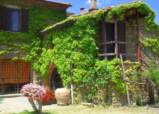 Montemaggiore Wine & Countryhouses