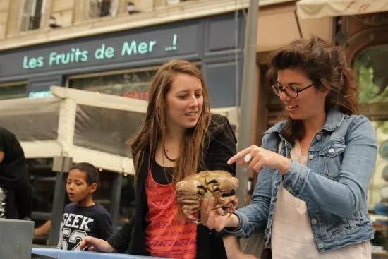 ToctocMarseille - Day Tours