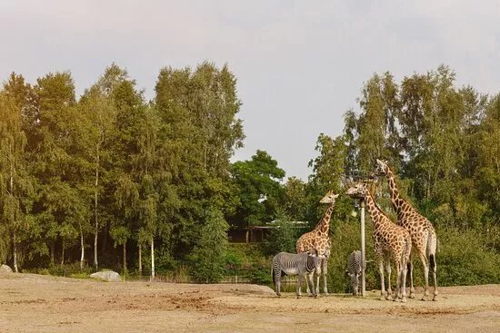Attractions