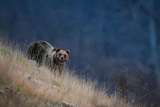 Jamme Trekking Di Alessandro Franza