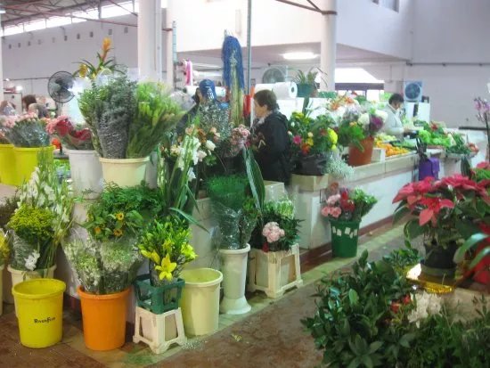Mercado Municipal de Vila de Santo Antonio