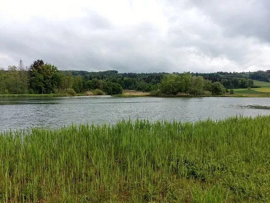 Flachsee