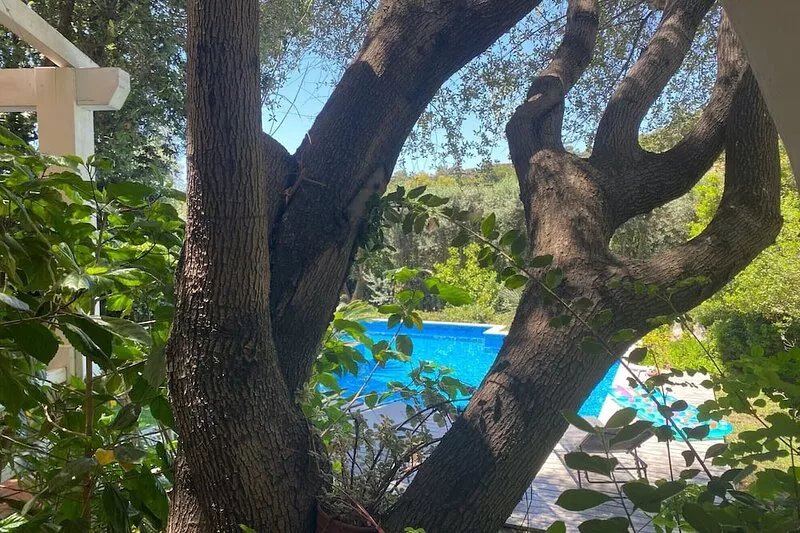 Gorgeous detached villa with salt-water pool 300 m away from sandy beach.