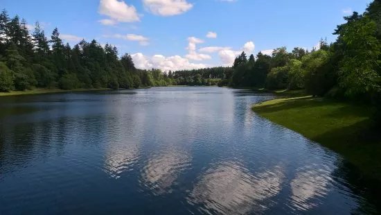 Tottiford Resevoir