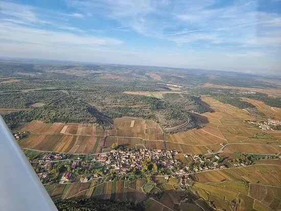 Domaine Prunier-Damy