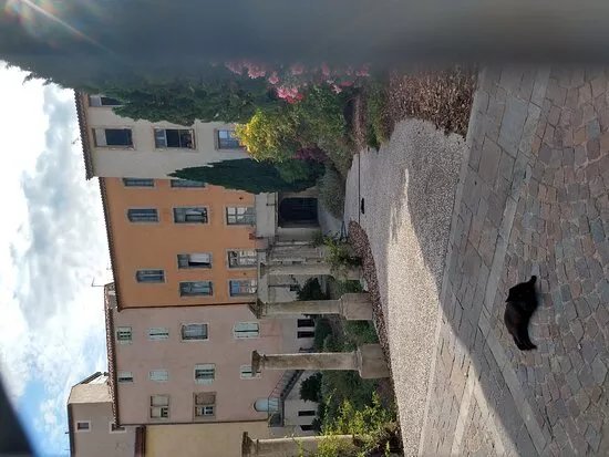 Les Jardine des Arenes