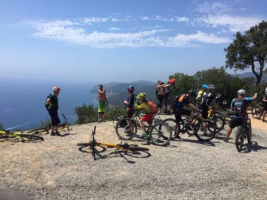 Stages VTT
