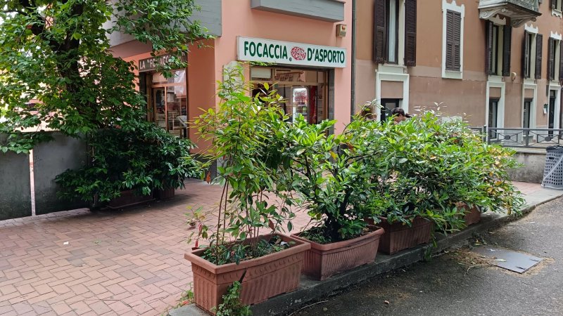La Focacceria Pizza E Pane