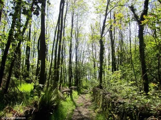 The Chestnut Route