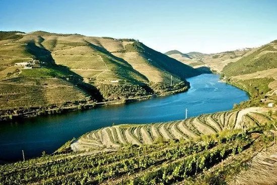 Quinta do Popa