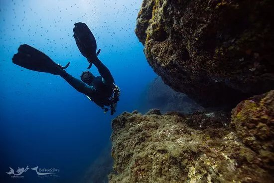 Be Free 2 Dive
