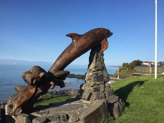 Leaping Dolphin