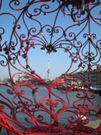 St. Rondleiding Rotterdam -Tours