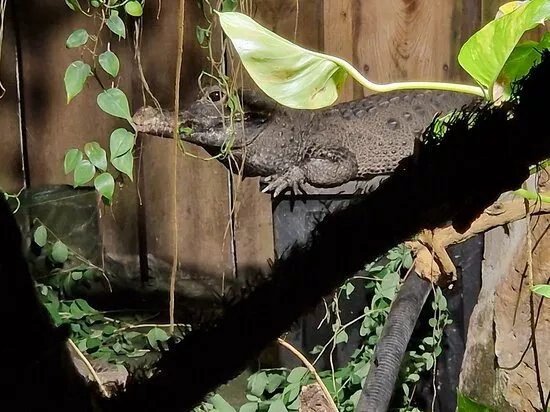 Zoo Aschersleben