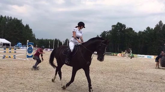 Horseboarding LV